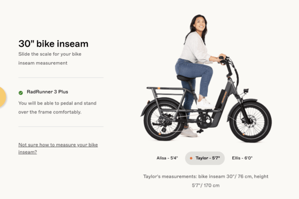RadRunner 3 Plus Electric Utility Bike - Image 12